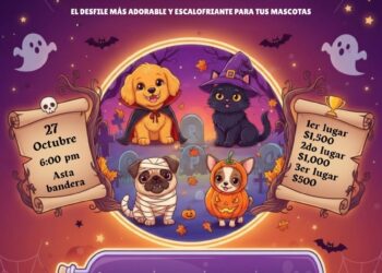 El PAN de Ahuacatlán, en su hora más difícil