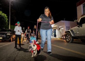 MERCADO DE AHUACATLÁN PRONTO VOLVERÁ A COBRAR LA VIDA