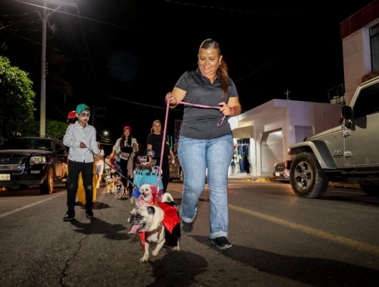 MERCADO DE AHUACATLÁN PRONTO VOLVERÁ A COBRAR LA VIDA