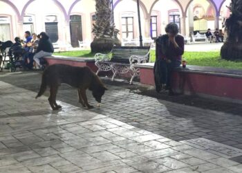 El guardián de Delia