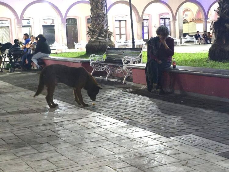 El guardián de Delia