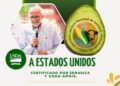 Nayarit haca historia : Obtiene  por primera vez la certificación para exportar aguacate a Estados Unidos
