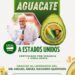 Nayarit haca historia : Obtiene  por primera vez la certificación para exportar aguacate a Estados Unidos